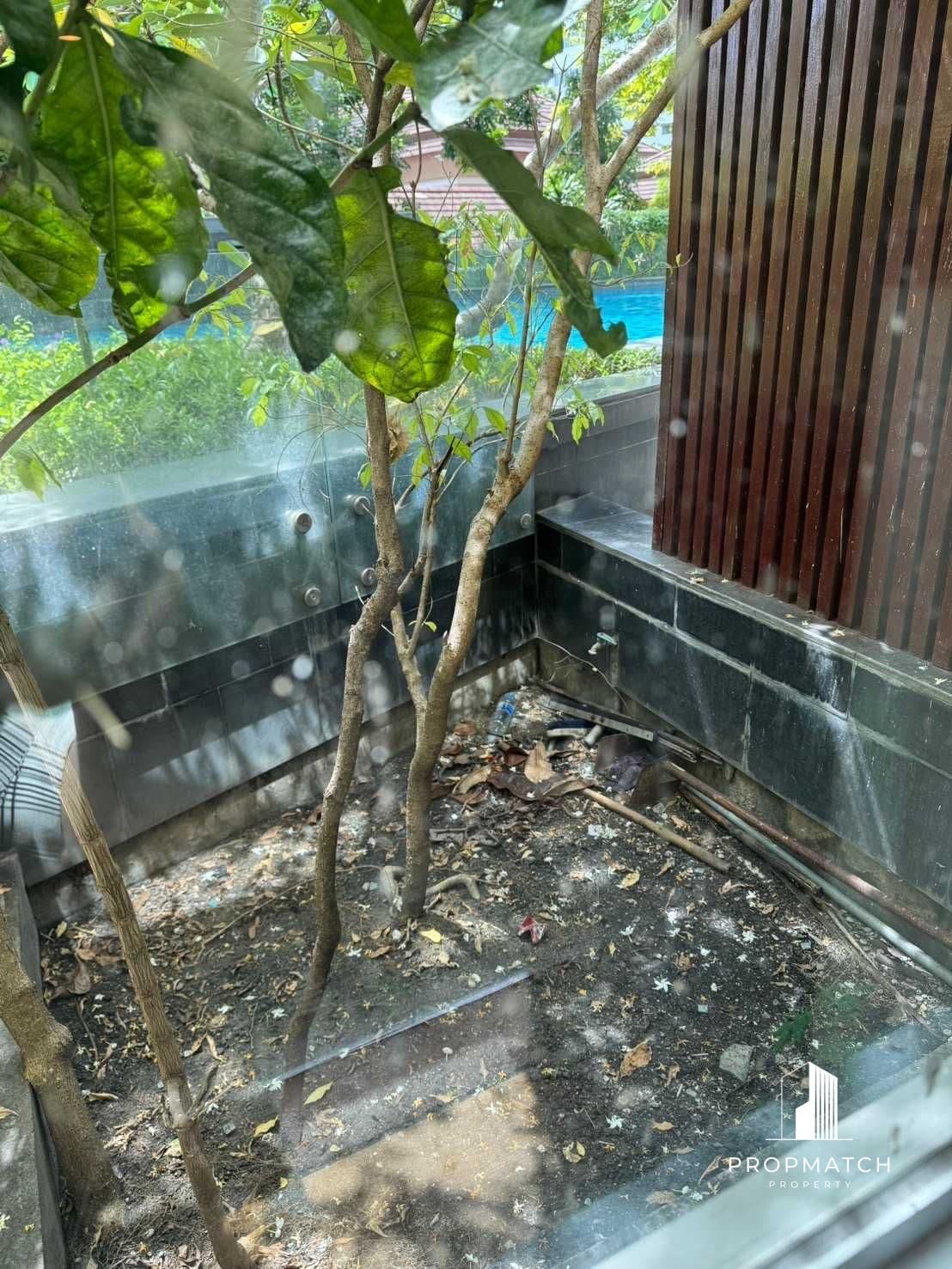 Hive Sukhumvit 65