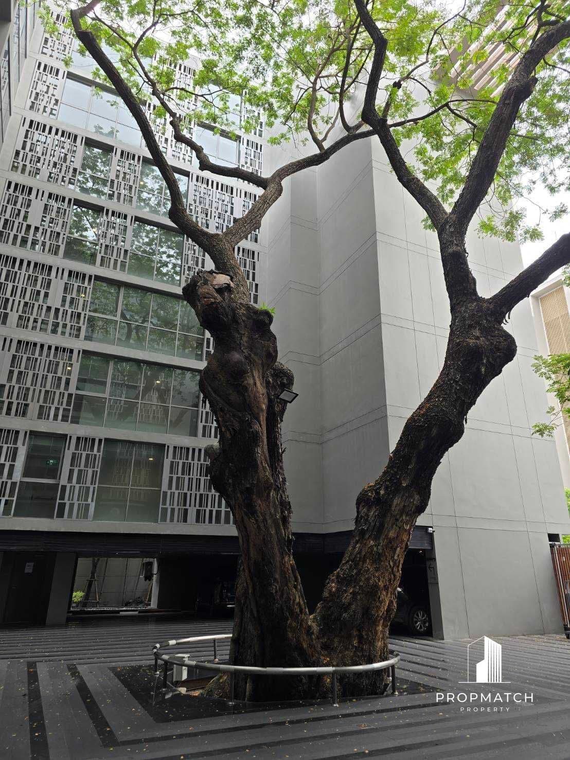 Via Botani Sukhumvit 47